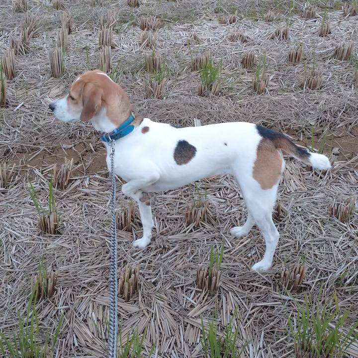 A846af74 9d9d 4a6d 9b10 66385cff9e34 1604214901316