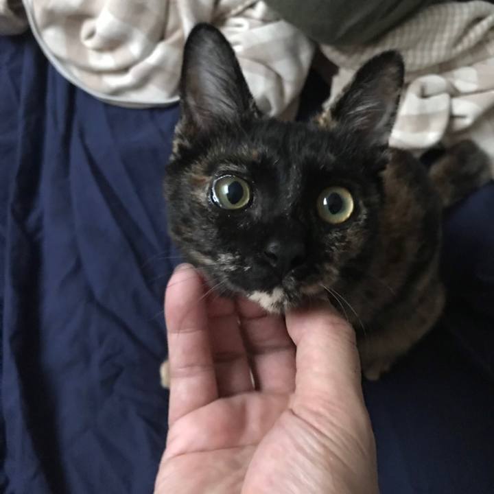 A846b00d df10 433c a50e f56bd7124612 1570246169821