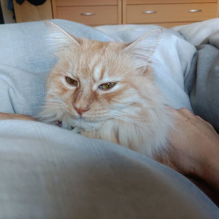 A846d3b6 33ee 4ce7 8658 c2ae8d8df4ac 1680051864819