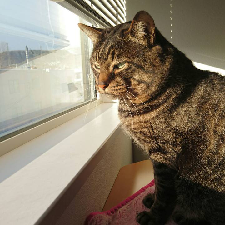 A846da70 cf2f 4765 b4dc f444e1552e07 1514678429342