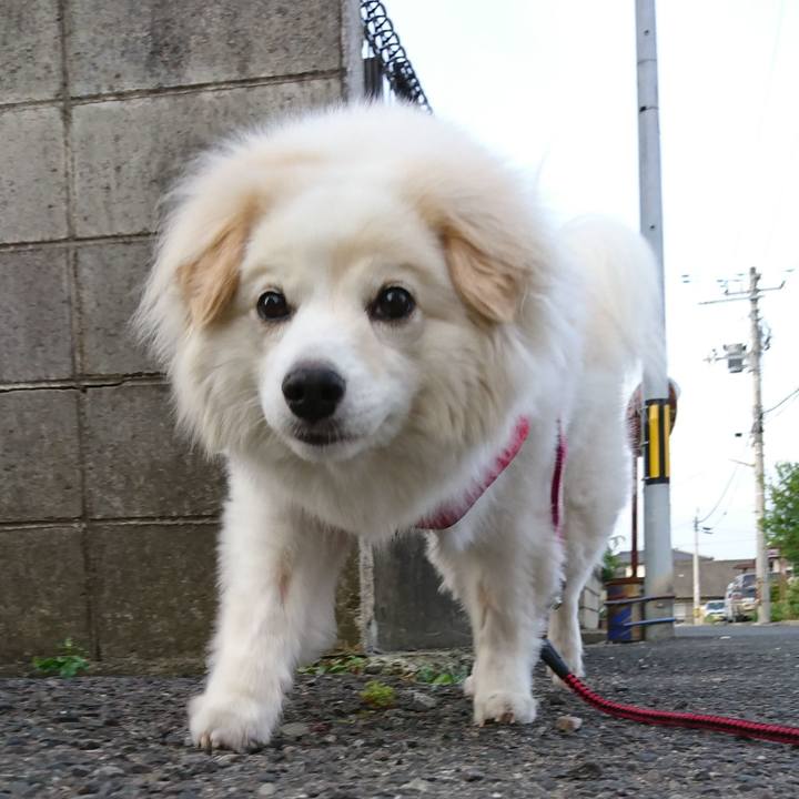 A846f5a6 db19 41ec b14b 49b235fba275 1532120098297