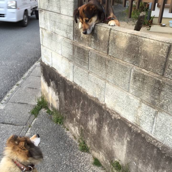 A846ff23 ac71 428d aaef 1d21414c9f81 1613706395832