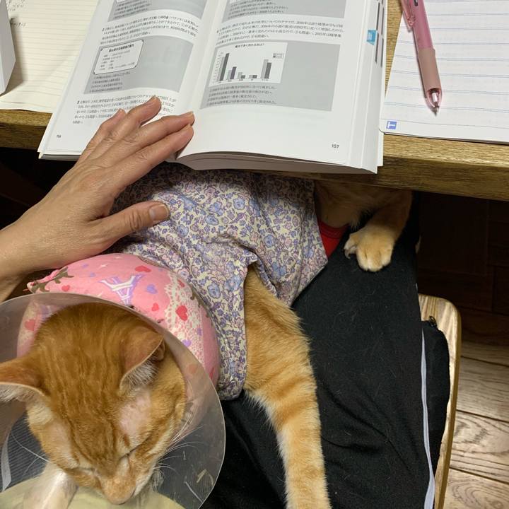 A8470ae8 c2b8 42ea b010 8474bfbde492 1622916345598