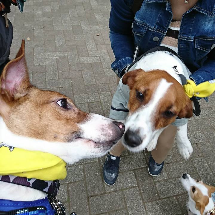 A8471946 69de 4e32 9dd3 8308cdac4826 1523679576705