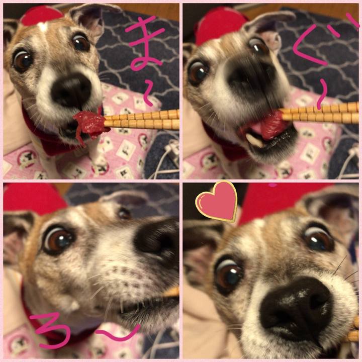 A84755b2 ba20 4650 bc48 8a43e0d772a1 1519902755523