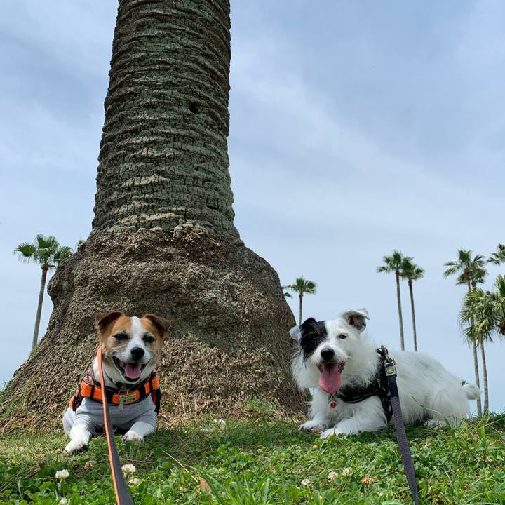 A84761e0 2934 4179 9600 8e0ff2f4d261 1624670595772