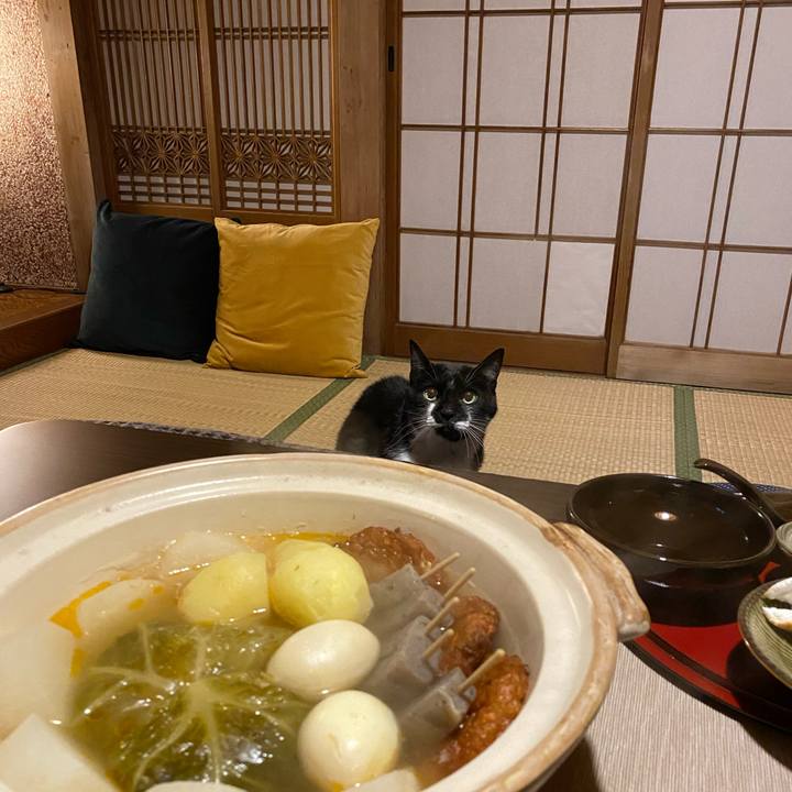 A84780b0 6a51 42a9 8140 3391a93bea92 1607169992903