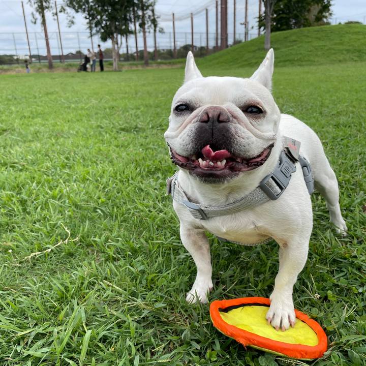 A847ad7f 015a 4f8e 9127 f1568370f34b 1758669961407