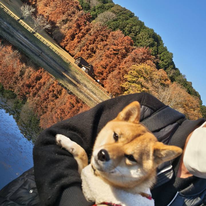 A847b9b6 78d9 4933 9397 da001cf2ccf7 1765065607420