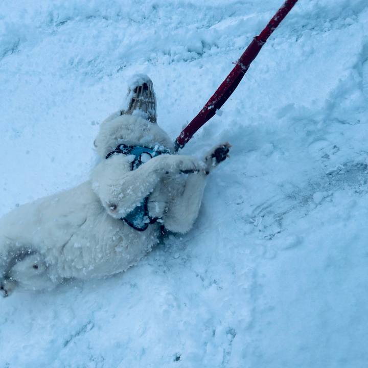 A847bf03 83ab 4016 836b e19a152b0090 1738104361069