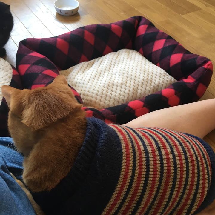 A847d25d 2d59 46aa 9e6e 383c6039aaca 1541295810420