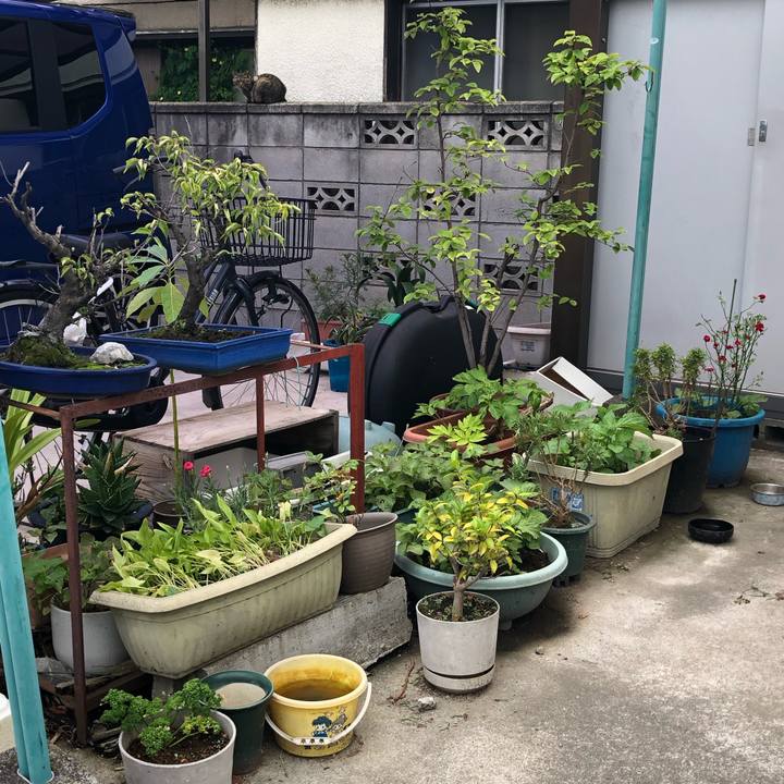 A847d529 e3f8 4654 ad76 97e8b557f51c 1561284925379