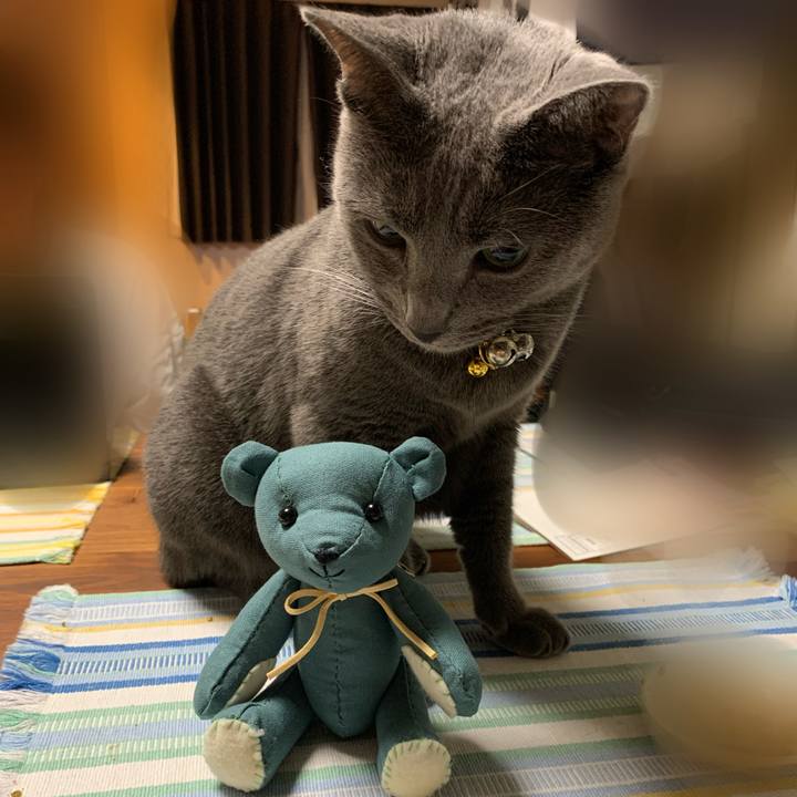 A847d830 5ec7 48fe 96f9 cef9bfea8f3d 1627647266463