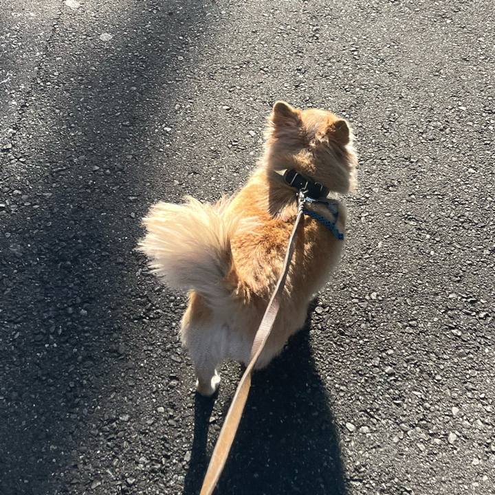 A847eb87 3390 4430 b291 e59f15c8d988 1768640955733