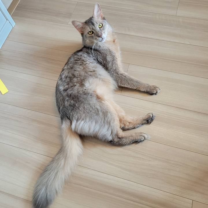 A848193f b277 4631 8e25 65e299b1213c 1633353326884