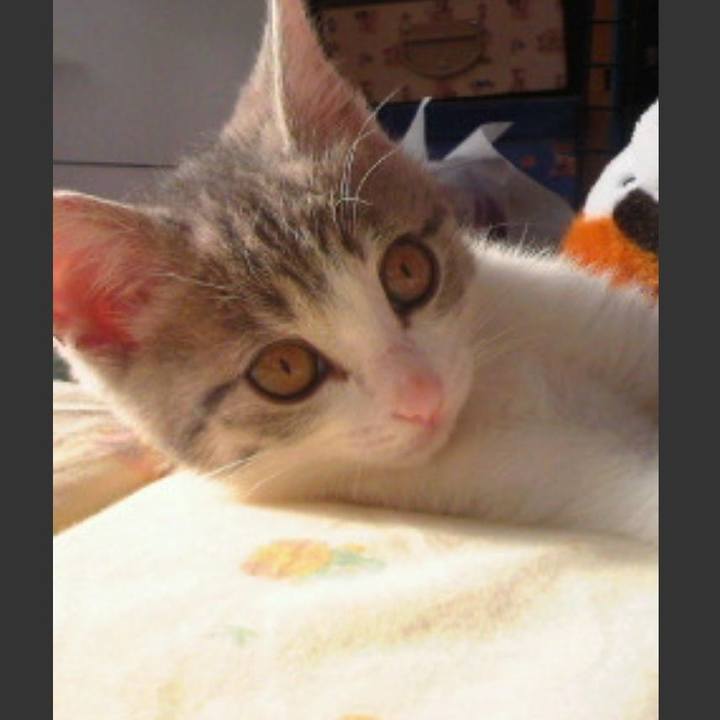 A8485541 260a 4641 b75f 86769e97caf7 1550229885642