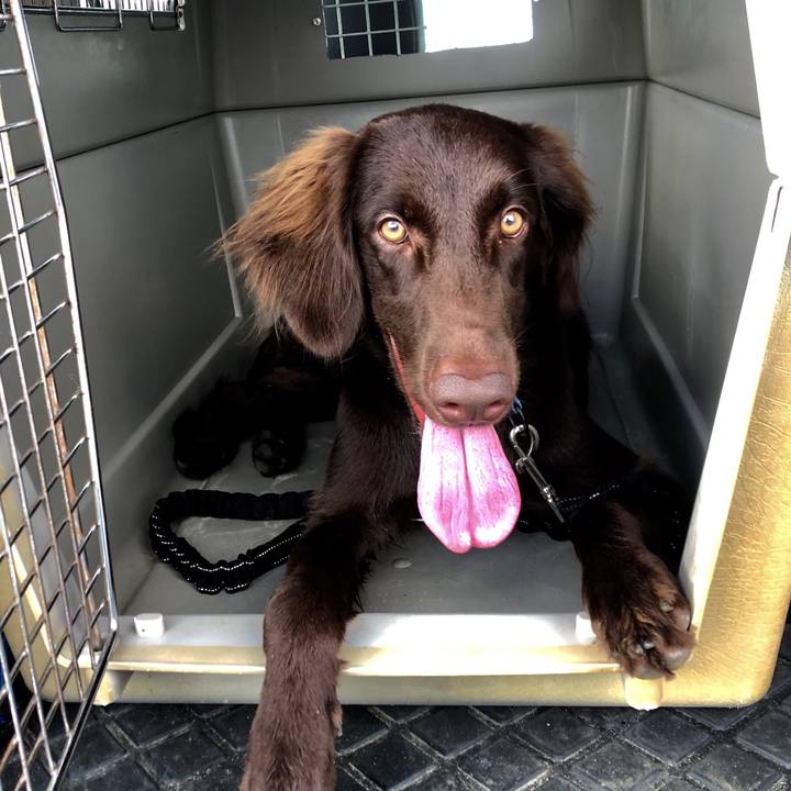 A84861c6 0b6c 4df9 abd0 ad35de34efaa 1565742132997