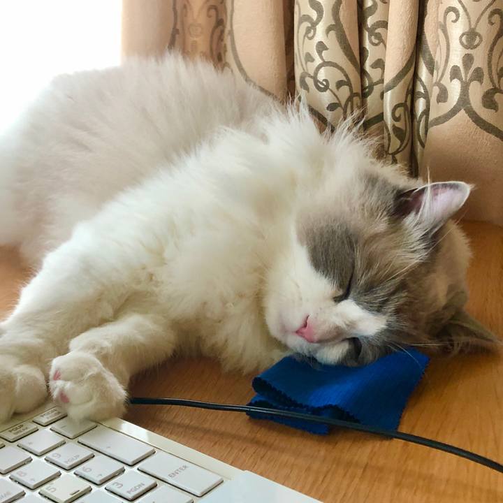 A8486bd5 2234 4b93 9452 d4c7d6ac6b4a 1586234977056