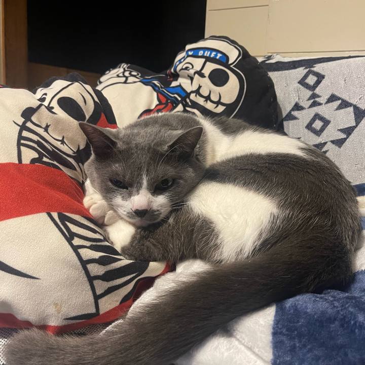 A84881b8 7ac0 47d5 9dfd 4353372b7d45 1680458410776