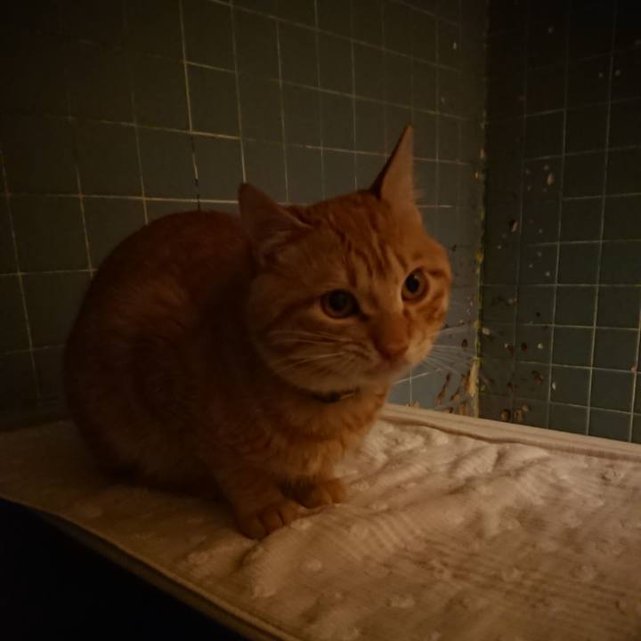 A848d13b e35b 49ec a8a6 a102cc218dfd 1645614545710