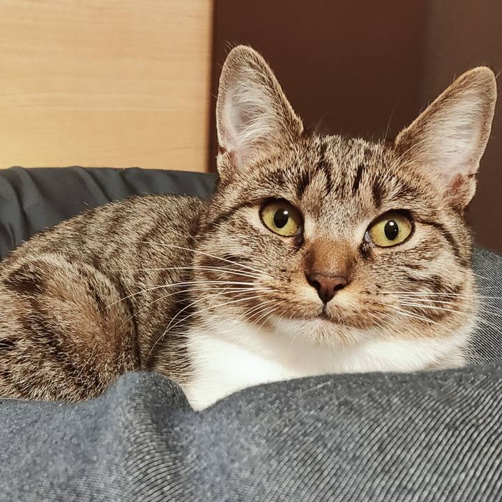 A849198a dd3d 45d4 8413 e6d52e8b8ad4 1644740050117