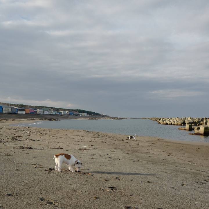 A8492082 1289 49c5 bef5 8dd6d17426b1 1545539386148