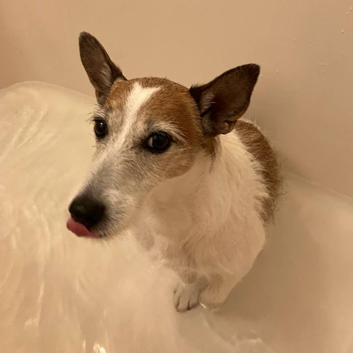 A84925b6 2c54 4c9c aa02 e8ca5ff7e264 1681687115970