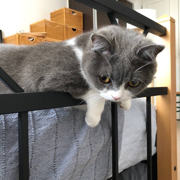 A84936ab a180 4f10 ae0e a7743236f6c0 1532914584953