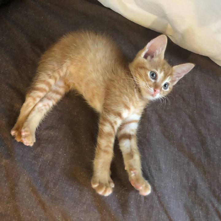 A8494e19 b13c 4e12 a1f7 390ab2adc342 1628888321709