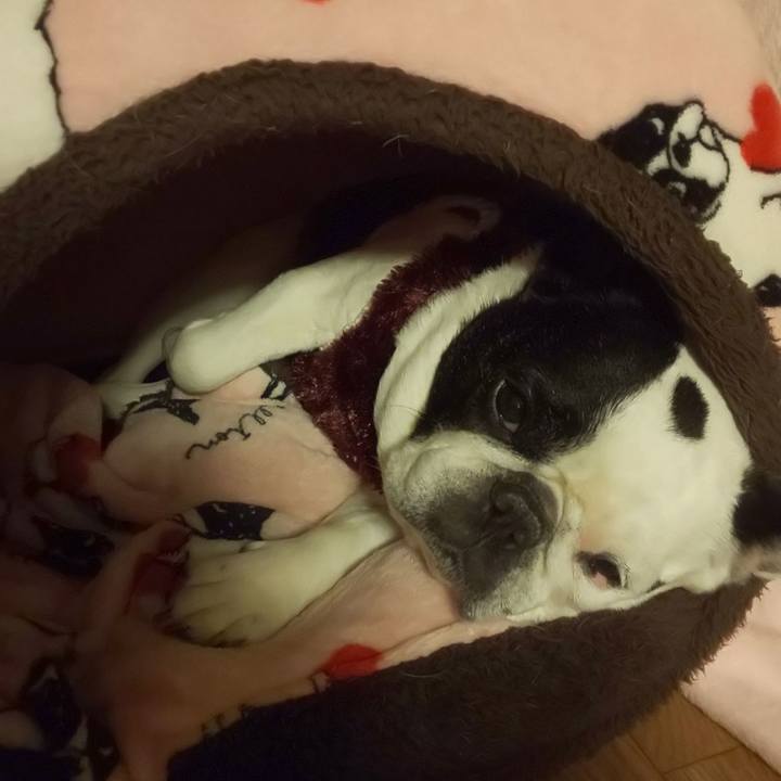 A8496d4f 918e 41ba bd1c fb4d5b734c34 1645366604415