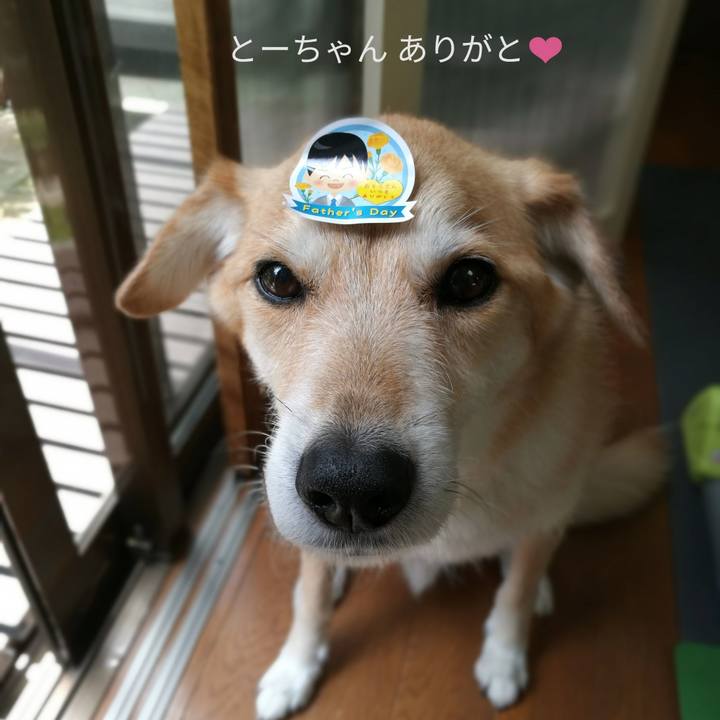 A84973ad fb96 44c9 84d3 c8de6d1dea4f 1529207553674