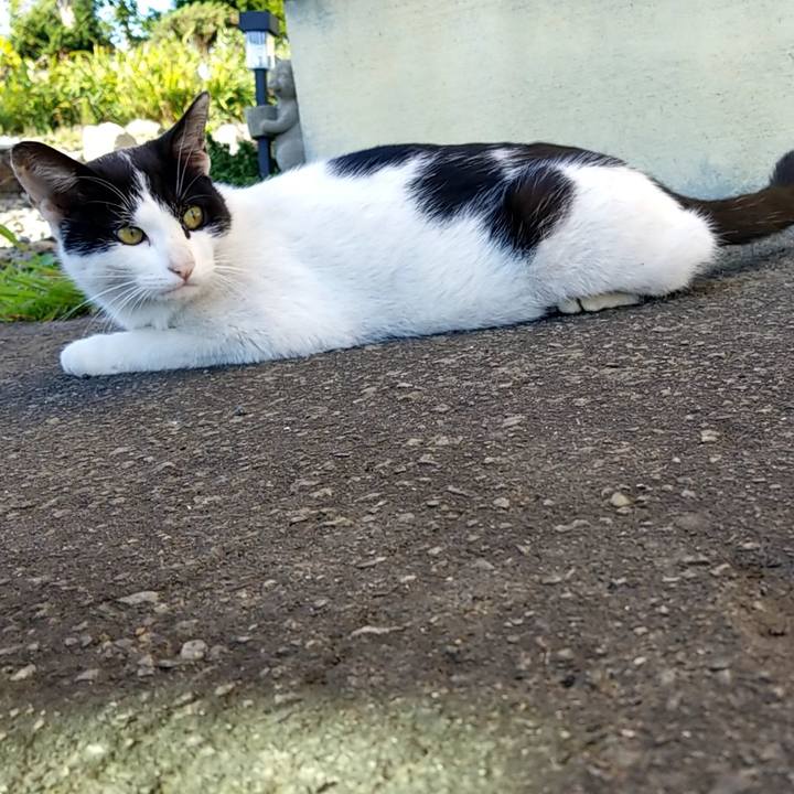 A8498cfc d713 4b61 a92c fa6a89dc9560 1567471203430