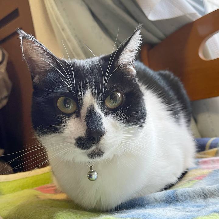 A849b3e6 5771 4bf7 9fe2 816ff91e74e9 1770332051681