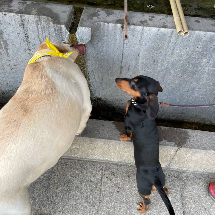 A849eec9 69b0 4583 9767 e302da98ad38 1648617243343