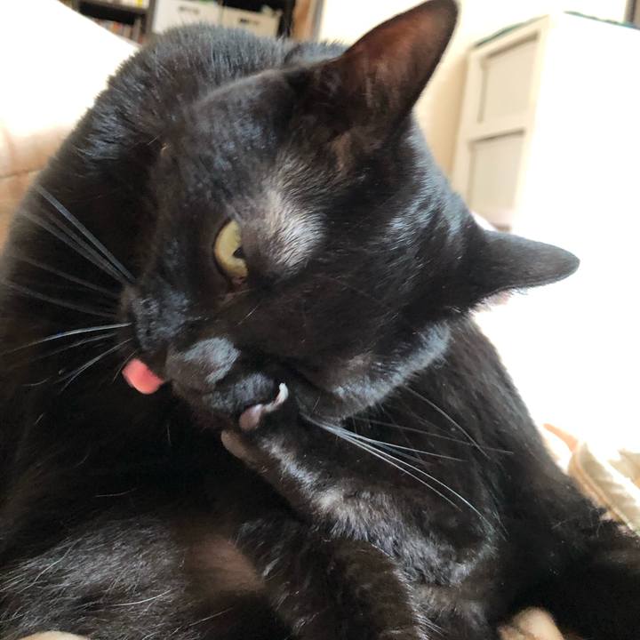 A849f3f5 a45d 40f2 9c96 eade09a7042b 1596495206042