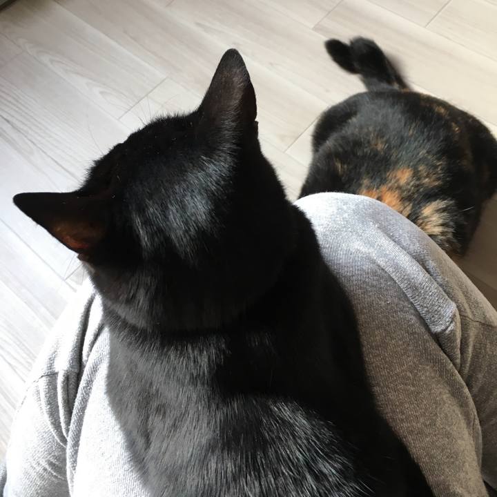 A84a8249 ecc8 4287 b620 fae265508b4a 1518413261024