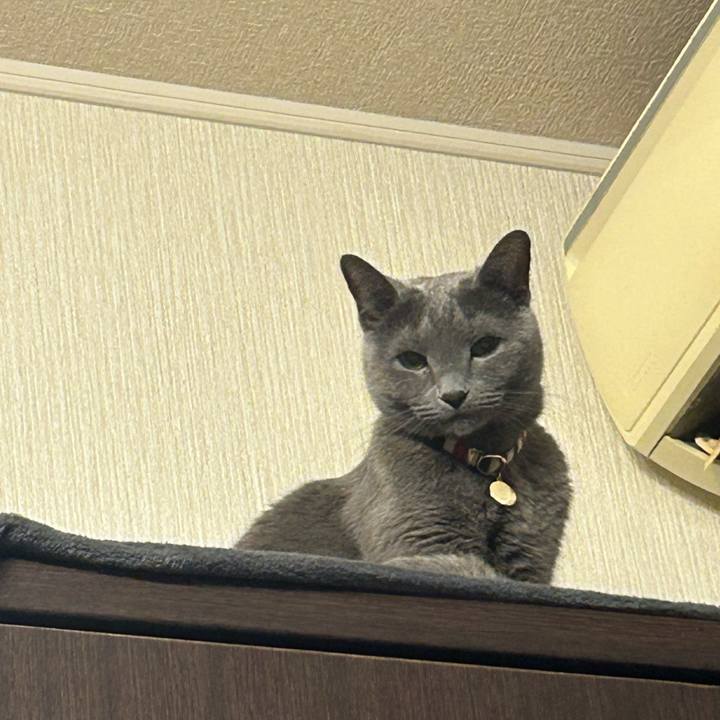 A84a9a56 e1f5 471e 8096 c301c3e59caa 1738138398674