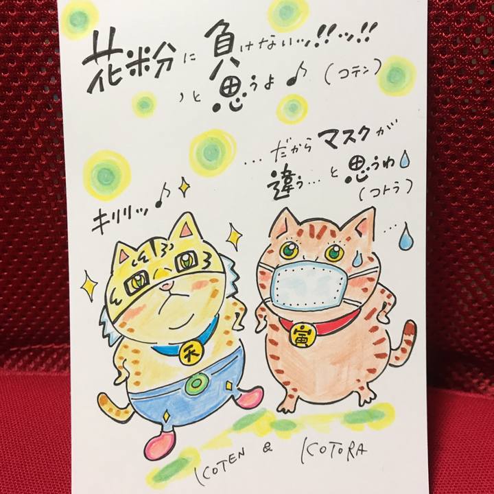 A84ae4ec 8a37 42d9 9207 00ab5742a68b 1552480969299