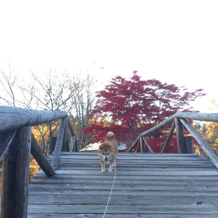 A84aee48 28ca 48d3 a2bc 625b98be8692 1540940715173