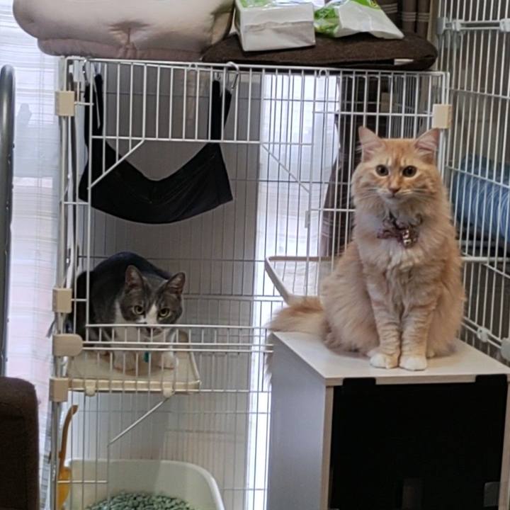 A84af13e 5efb 4294 9689 e189ecca0a57 1663236153495