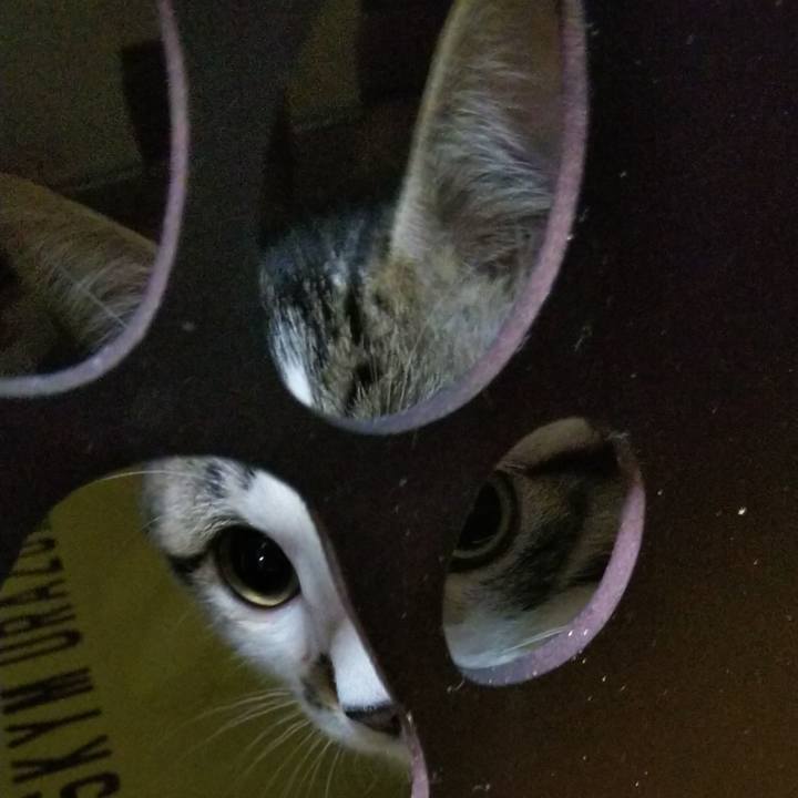 A84b5498 fe4f 43b4 bd11 7eead3b46e97 1610374174287