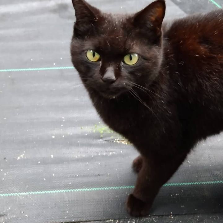 A84b81d9 8573 461e be82 bdfdbf329e73 1654772860208