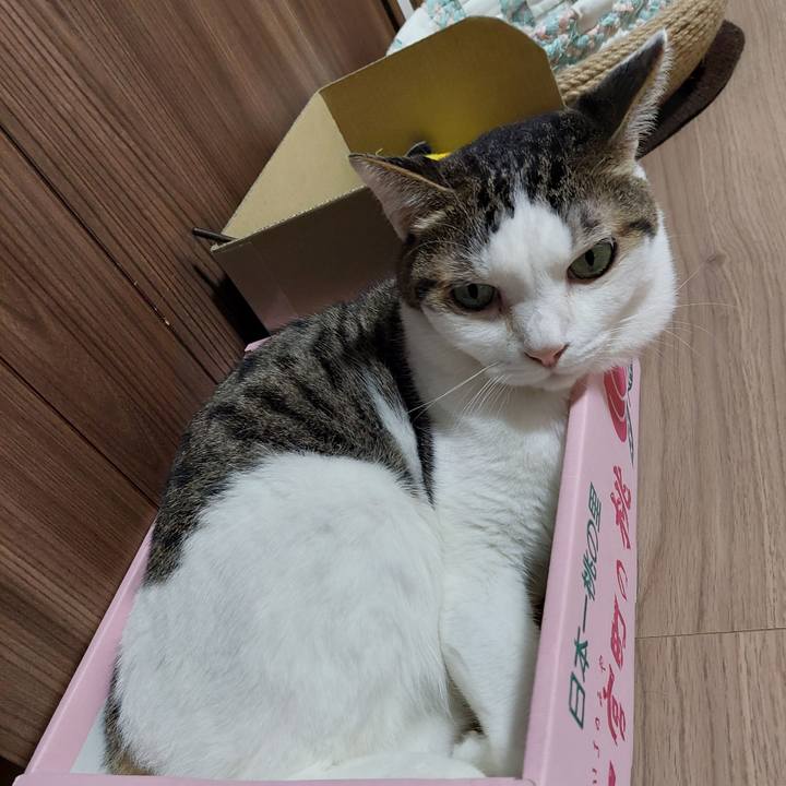 A84bb38b be43 4998 bdeb 7f02abd8b685 1634475128429