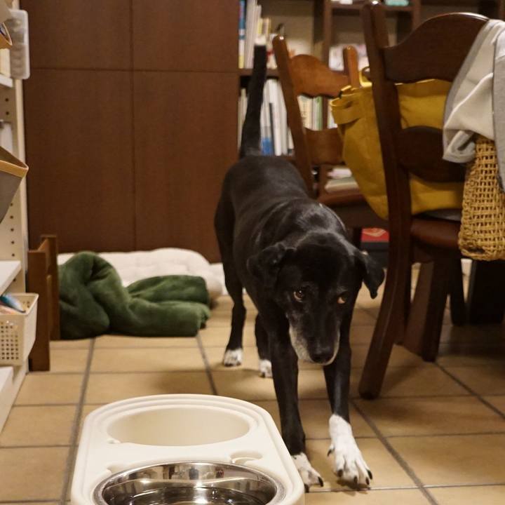 A84bdb30 68e4 4067 95c4 e749cf83f9a3 1761649110503