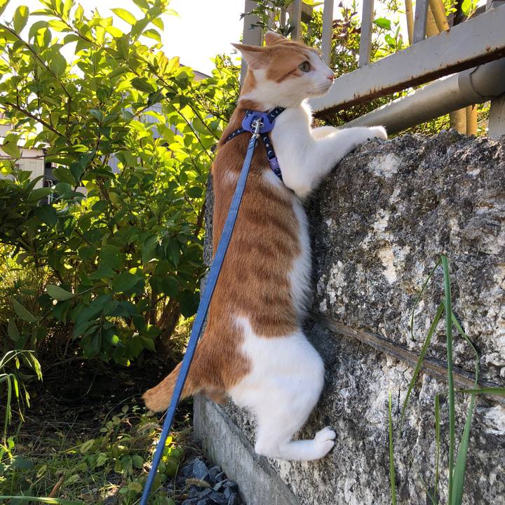 A84bdc3f 31e8 453e b085 17b9cdb92403 1540462553162