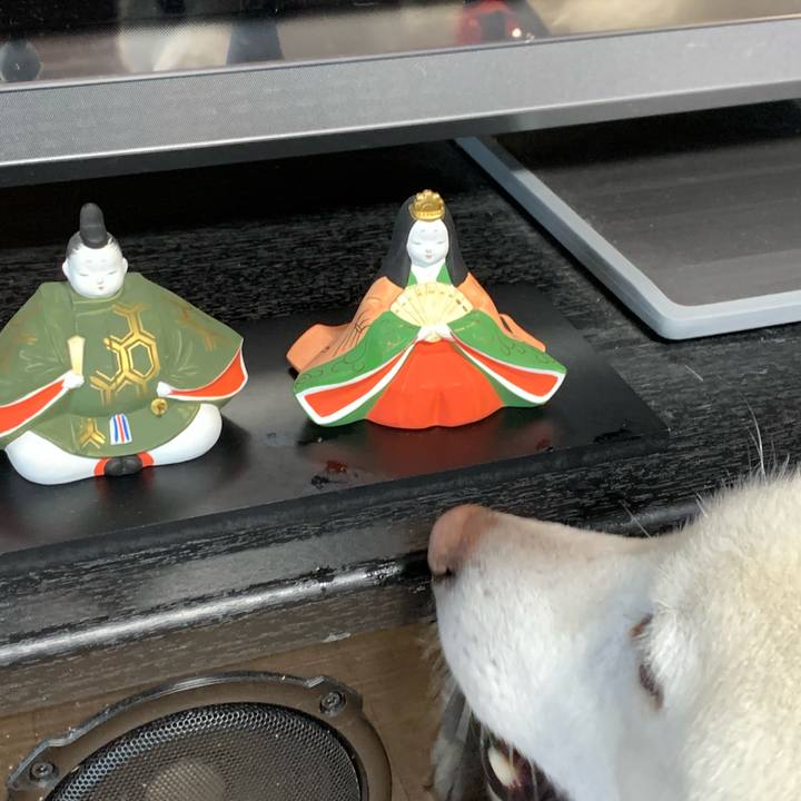 A84c122a 1db1 408b b1eb acfb83265f96 1614558940670