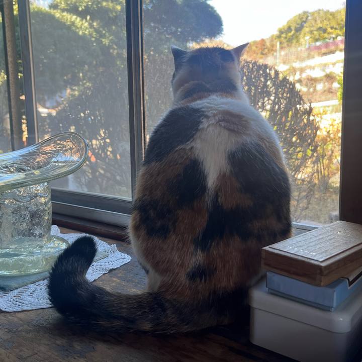 A84c2df3 cdda 4b7a 9887 c61b3fe23482 1772609195398