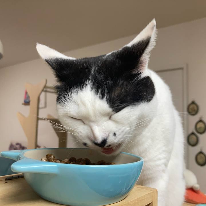 A84c3a05 3503 47a3 b8ff 24747c683be3 1775336769218