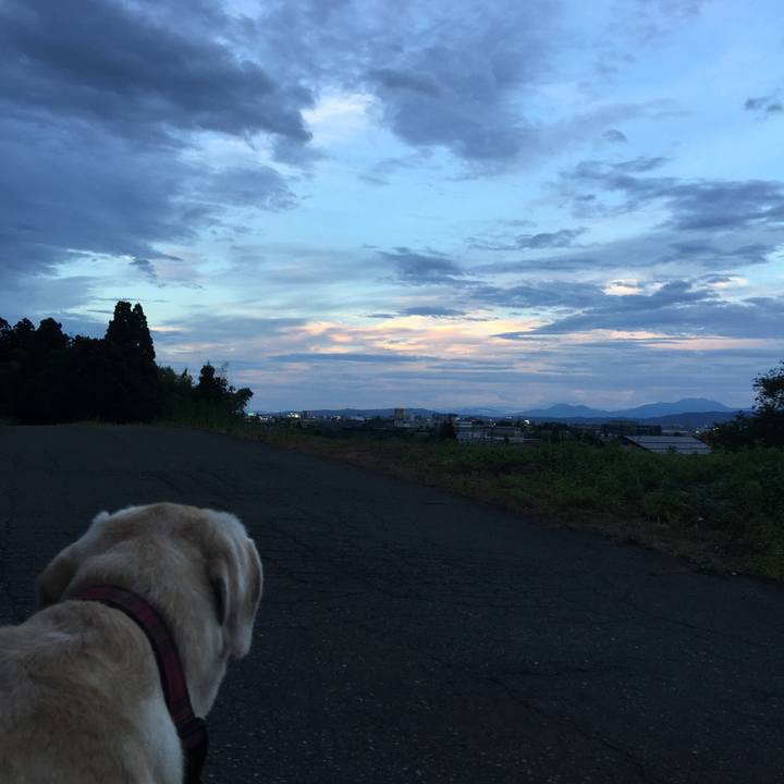 A84c4b3b 6f7b 4485 bab8 20d3688dbed5 1530274000493