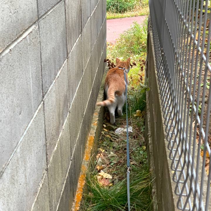 A84c50d9 9882 48f2 a59b 4494654decaa 1574596893840